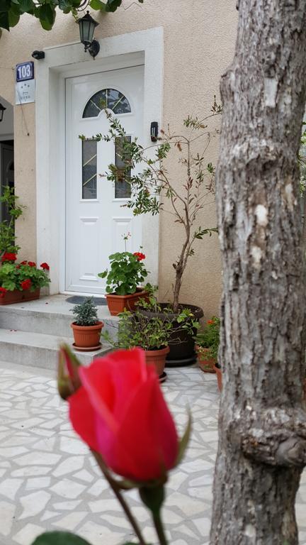 Hibiscus Guest House Budua Esterno foto